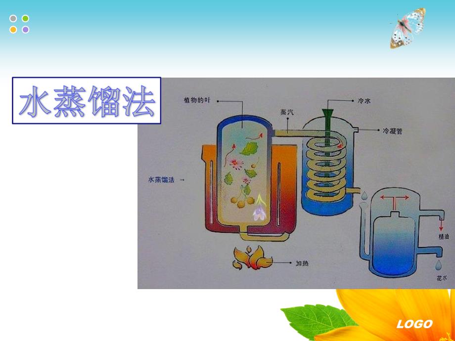 幸福之源呵护精油介绍_第3页