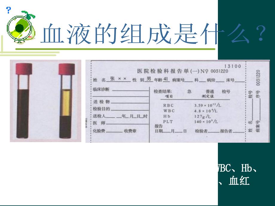 最新七年级生物流动的组织血液课件人教新课标版课件_第4页