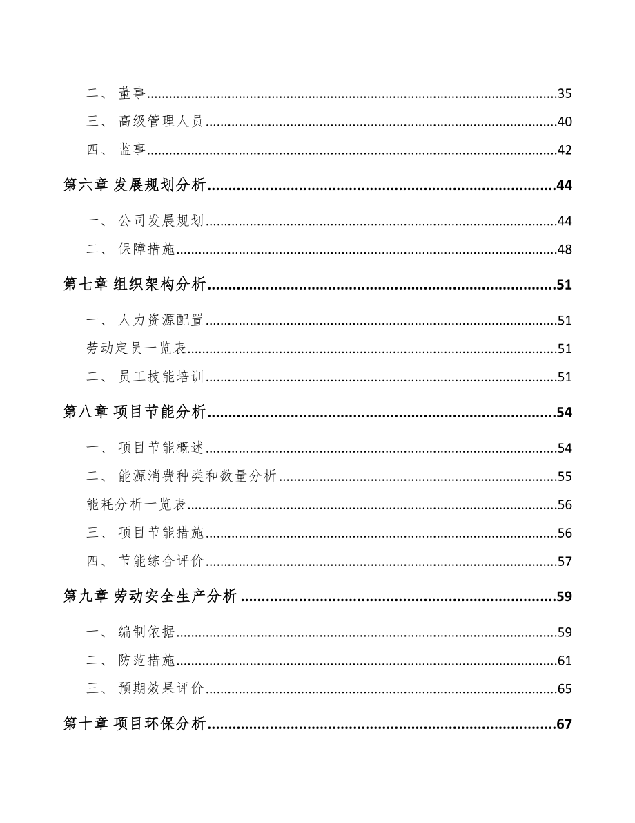 某某某 玻璃纤维项目可行性研究 报告_第2页