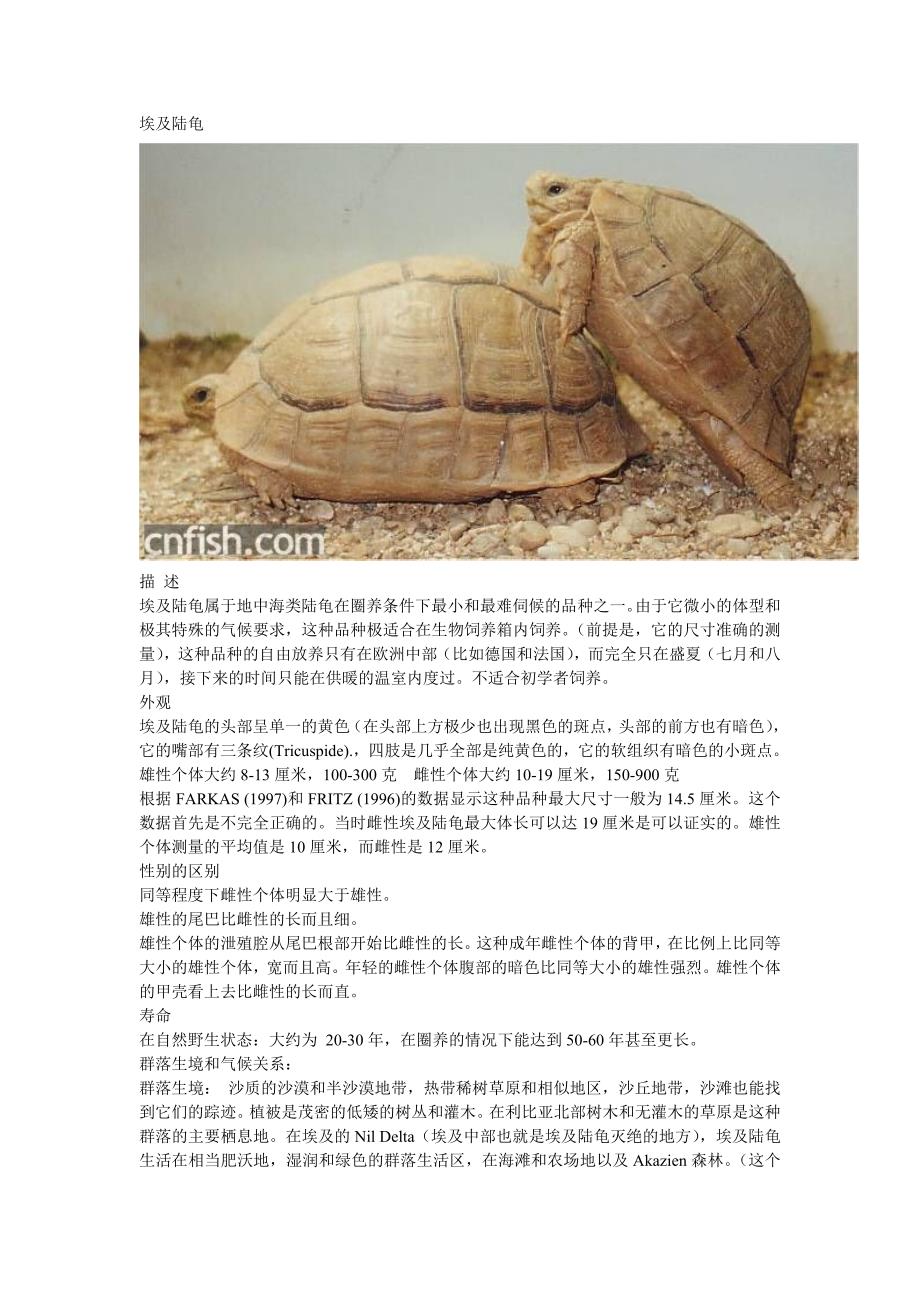 陆龟的种类和习性.doc_第1页