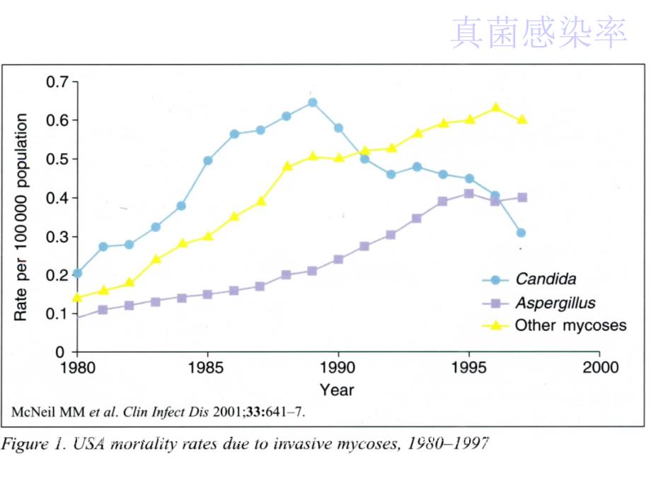 血液病真菌感染概论课件_第4页