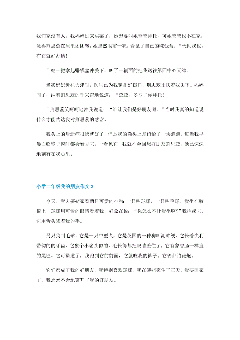 小学二年级我的朋友作文10篇_第2页