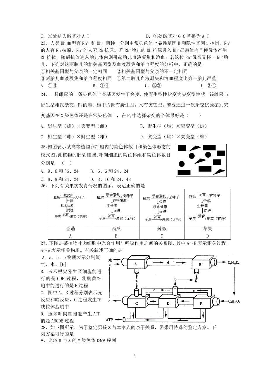 汉寿二中2011届第四次月考生物试题.doc_第5页