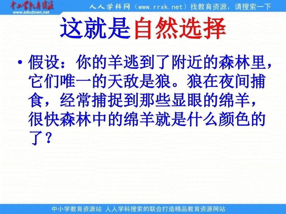 苏教版科学六下《达尔文和他的“进化论”》_第5页