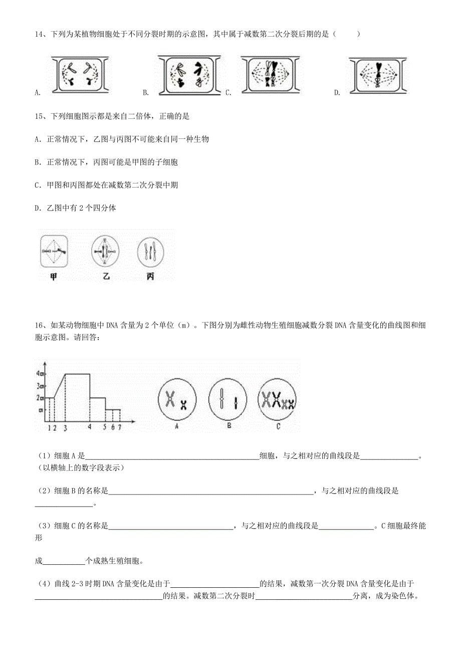 高中生物人教版减数分裂练习题_第5页