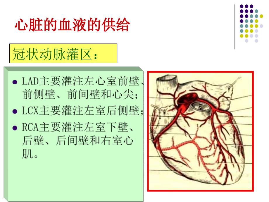 核医学教学课件：心血管系统_第4页