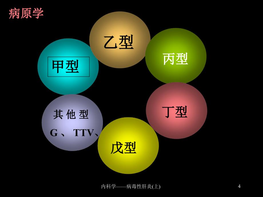 内科学病毒性肝炎上课件_第4页