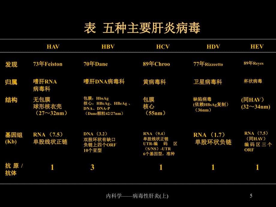 内科学病毒性肝炎上课件_第5页