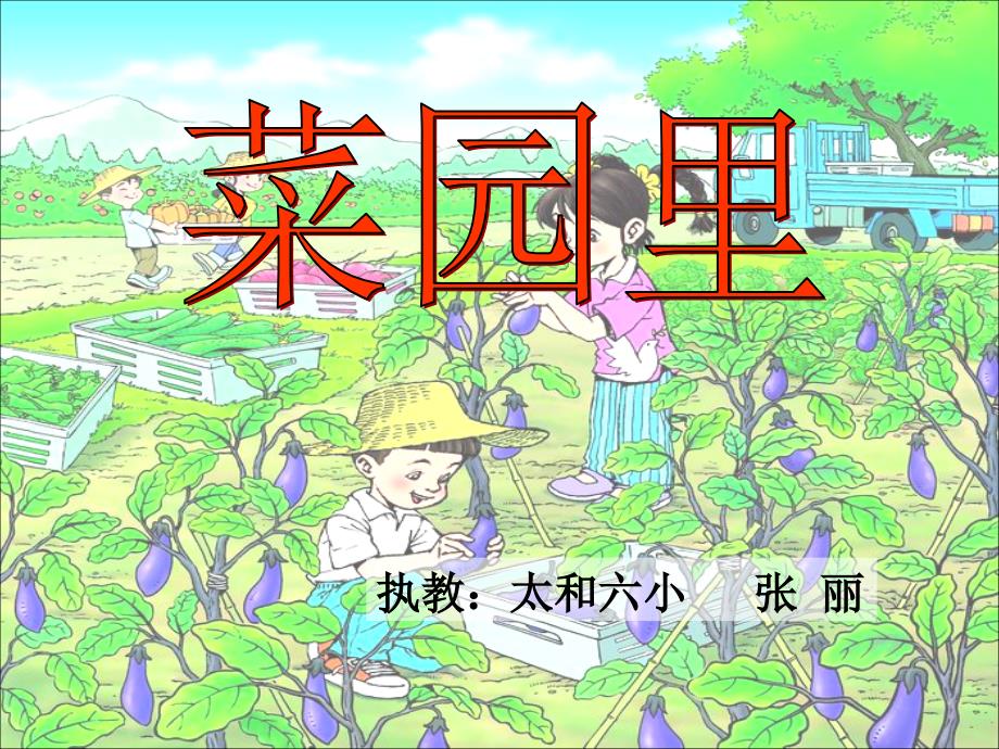 《菜园里》课件_第1页