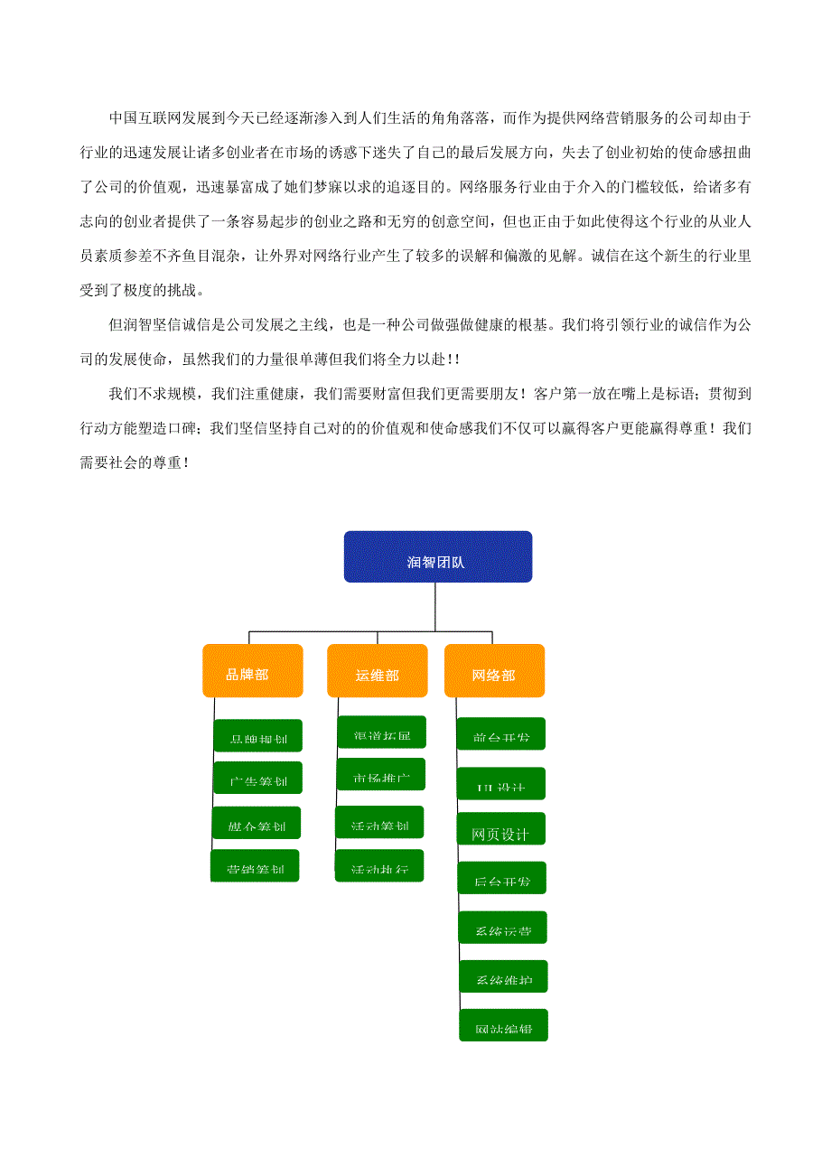 医院网络建设计划书_第4页