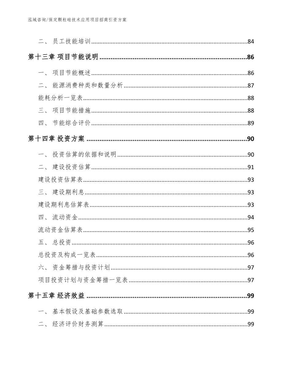 保定颗粒硅技术应用项目招商引资方案模板范本_第5页