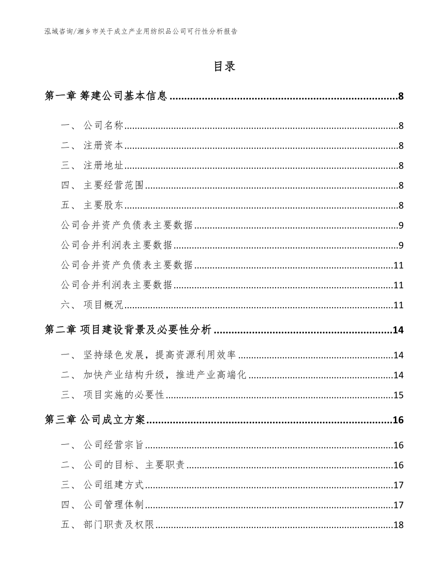 湘乡市关于成立产业用纺织品公司可行性分析报告范文_第2页