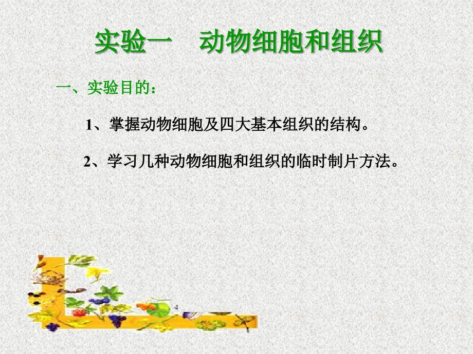 《无脊椎实验》PPT课件_第1页