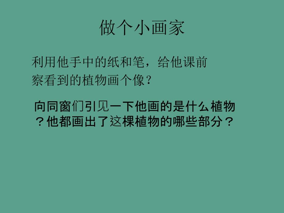 三年级下册科学科植物的身体人教版ppt课件_第1页