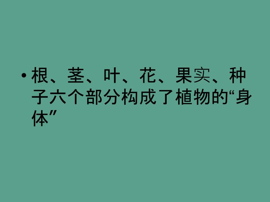 三年级下册科学科植物的身体人教版ppt课件_第4页