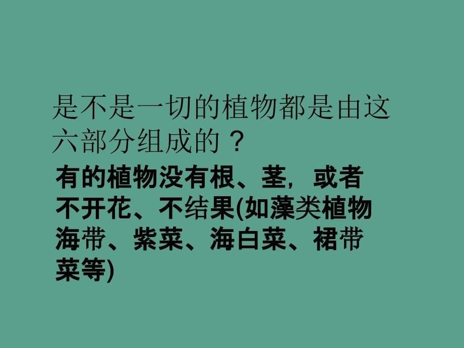 三年级下册科学科植物的身体人教版ppt课件_第5页