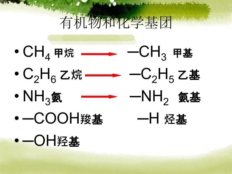 第3讲蛋白质生命活动的主要承担者2_第5页