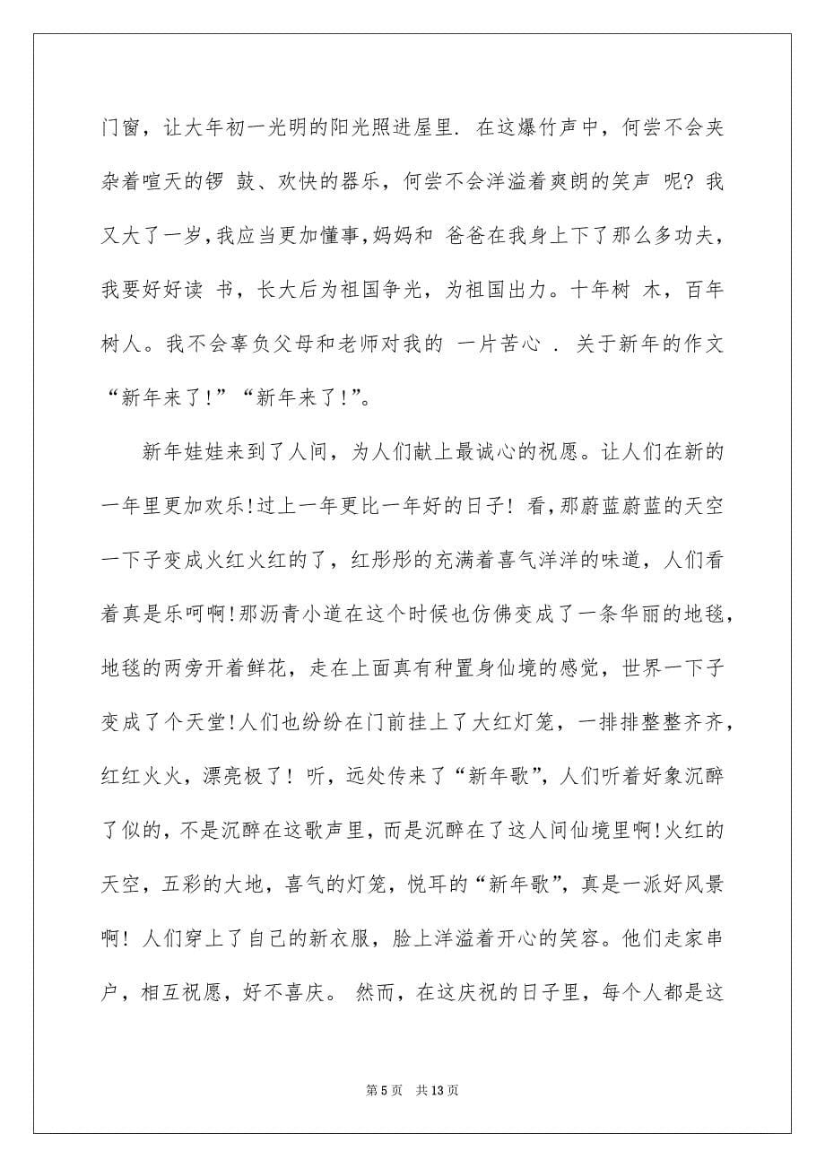 欢乐的新年作文900字5篇_第5页