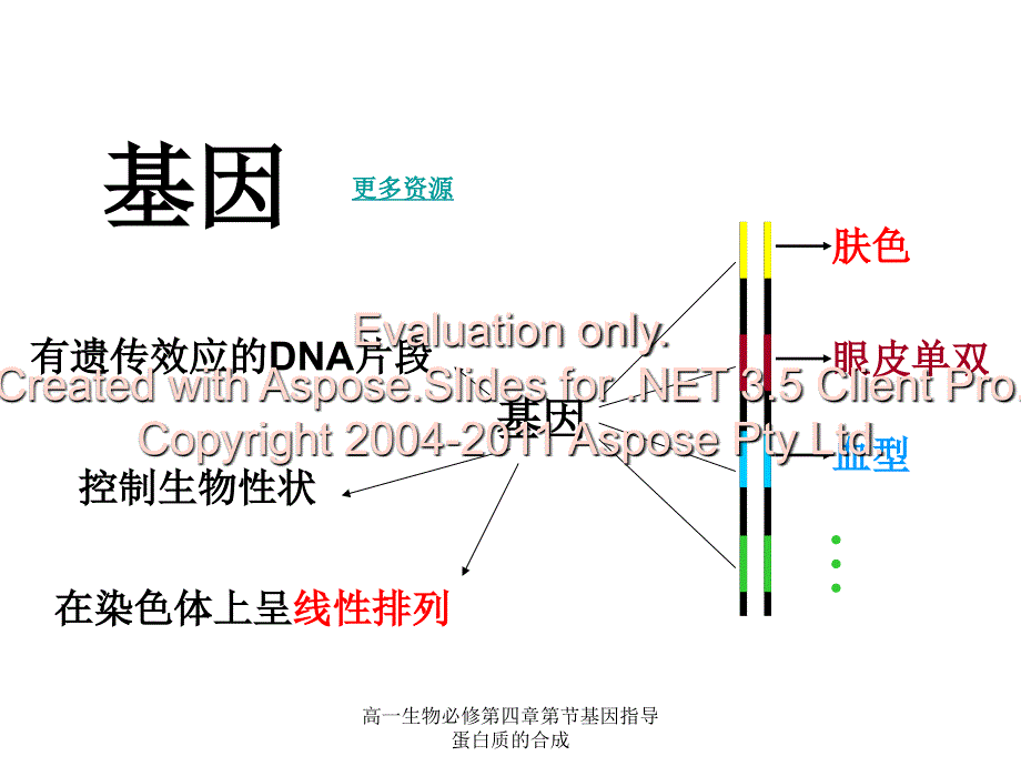 高一生物必修第四章第节基因指导蛋白质的合成课件_第2页