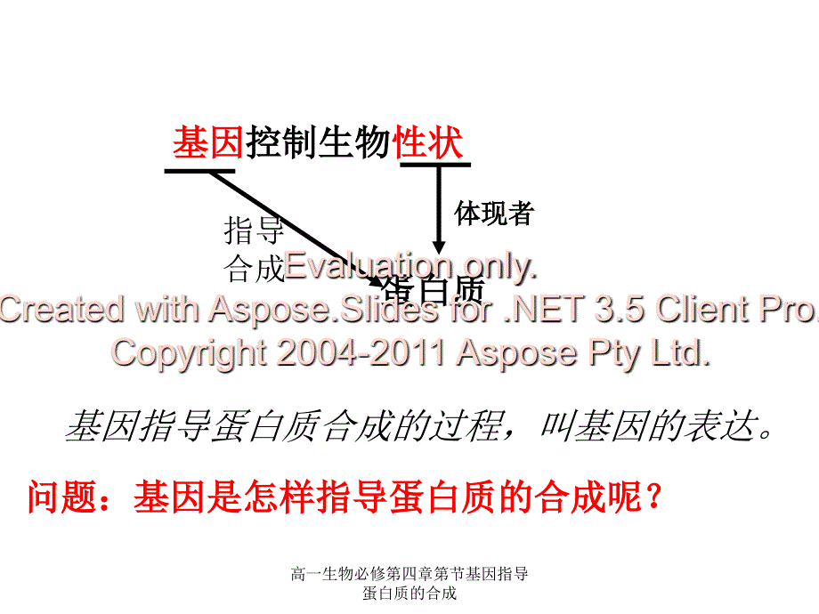 高一生物必修第四章第节基因指导蛋白质的合成课件_第3页