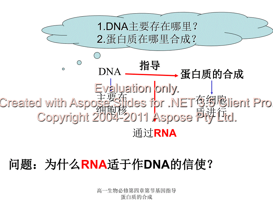 高一生物必修第四章第节基因指导蛋白质的合成课件_第4页