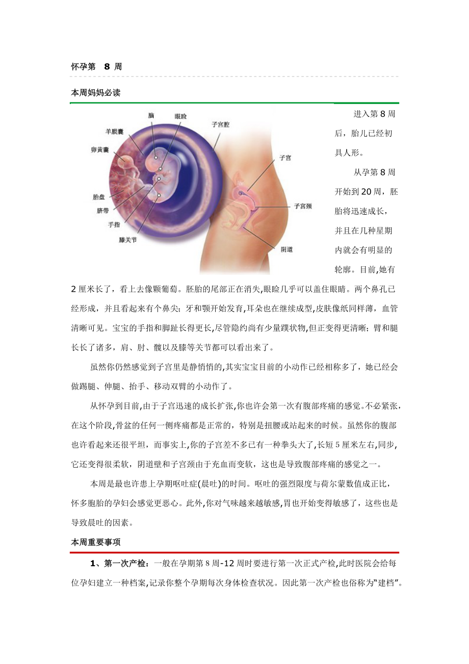 怀孕40周每周知识宝典大全_第4页