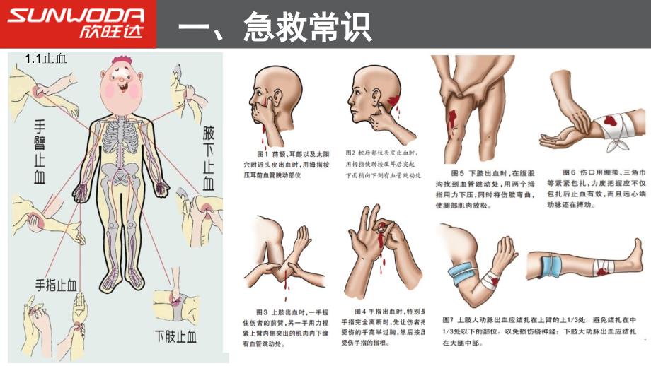 急救箱管理培训课件_第3页