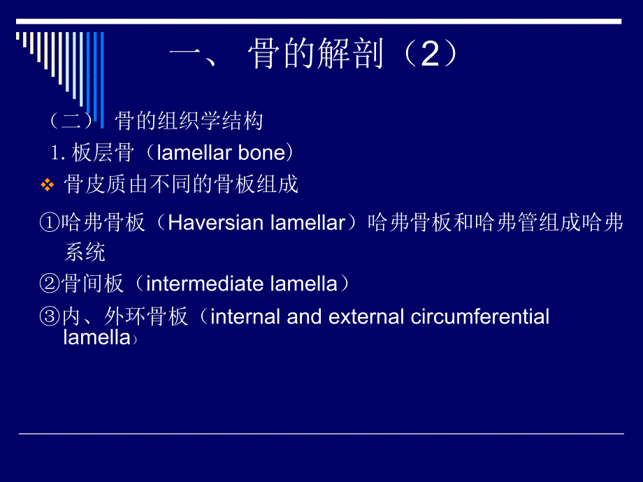 骨骼影像诊断PPT课件_第4页