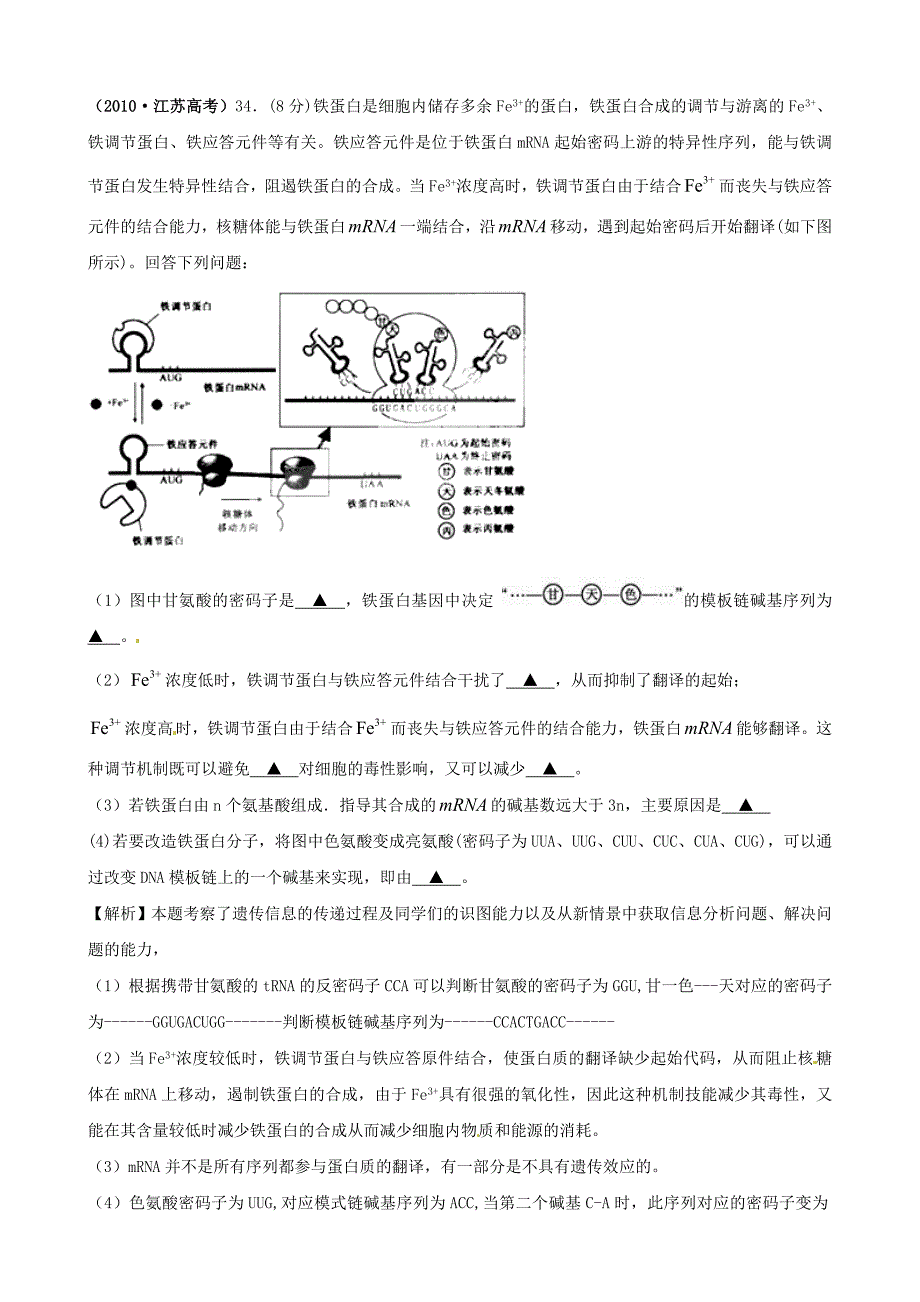 2011版高中生物一轮复习 4.1 基因指导蛋白质的合成精品学案 新人教版必修2_第4页