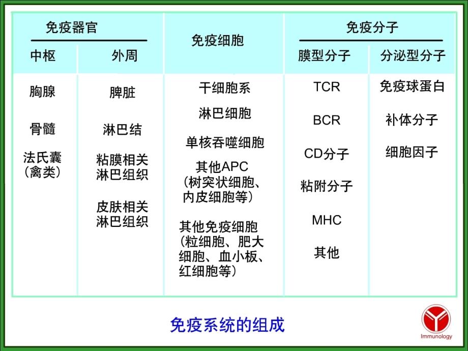 CH2免疫组织和器官课件_第3页