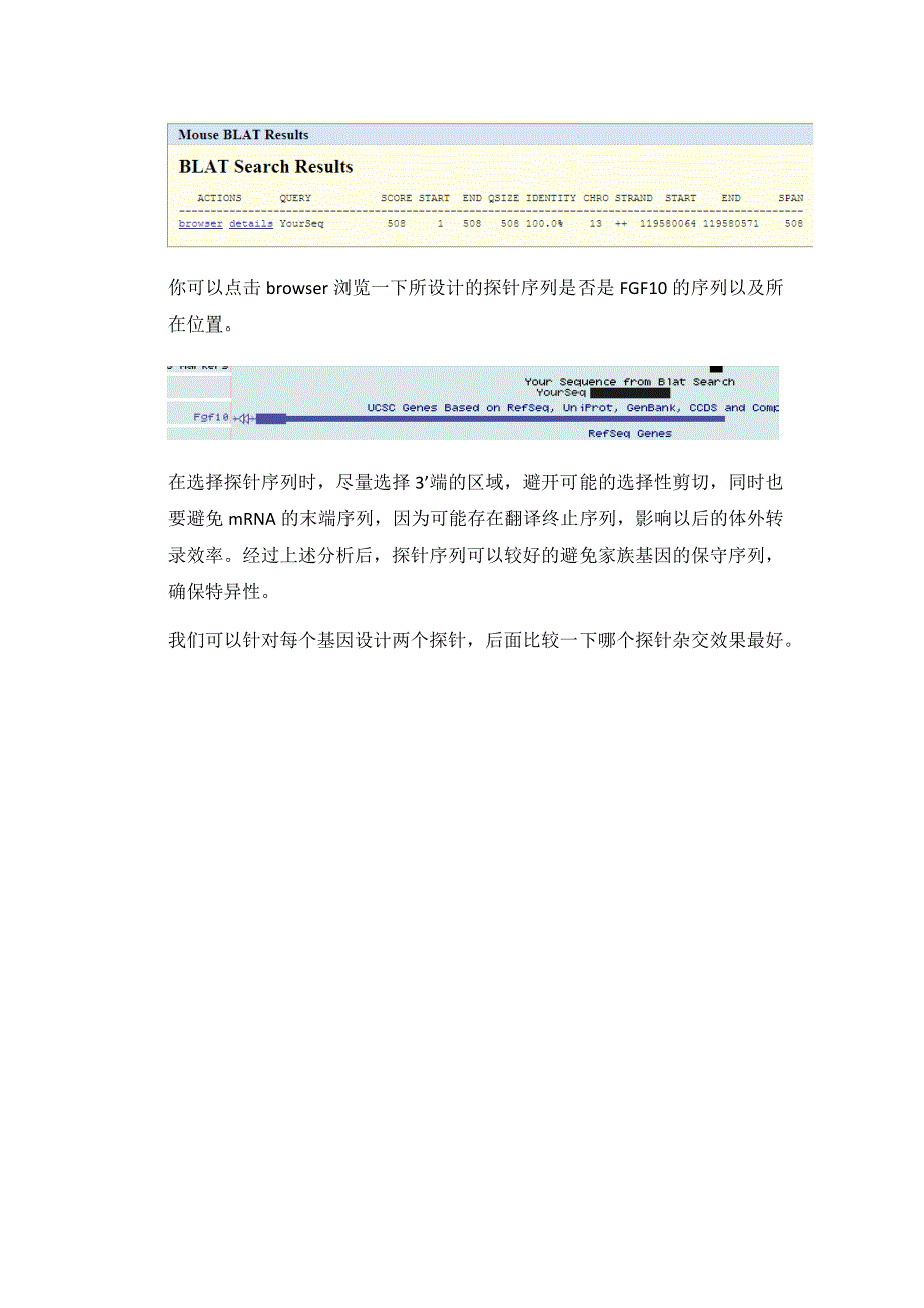 探针设计原则.docx_第4页