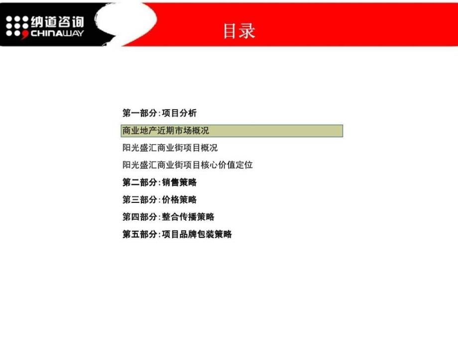 大学城阳光盛汇商业街项目全程营销执行大纲1_第3页