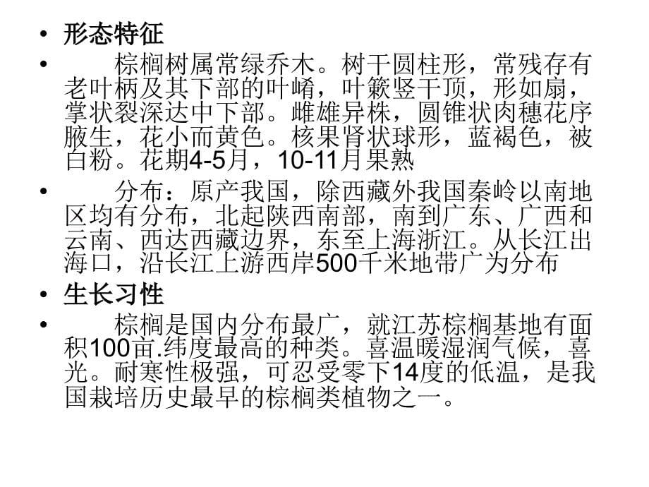 学校常见植物模板_第5页