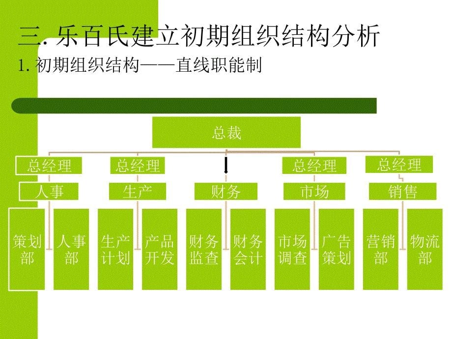 乐百氏企业组织结构分析_第5页