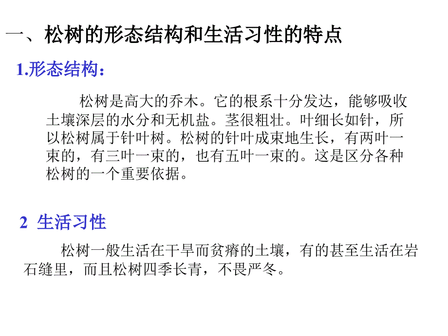 裸子植物高品质版课件_第3页