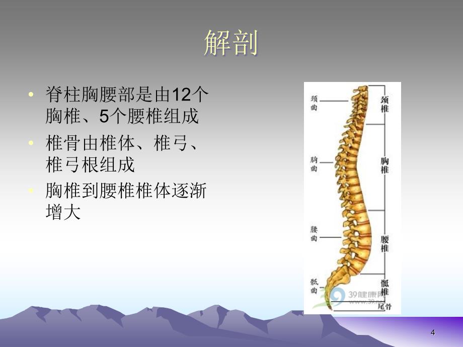 胸腰椎骨折的护理ppt课件_第4页