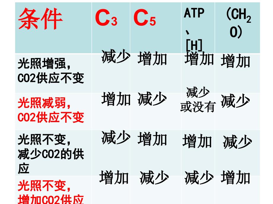 光合作用原理应用_第2页