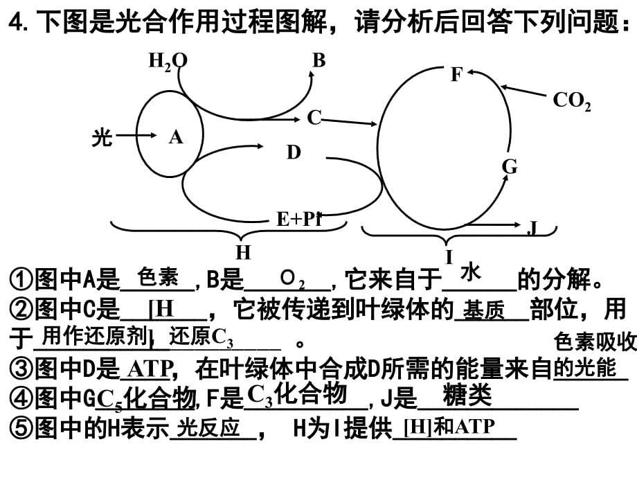 光合作用原理应用_第5页