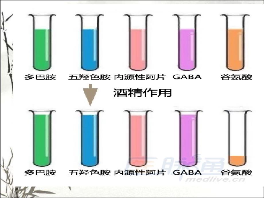 酒精相关精神障碍PPT课件_第3页