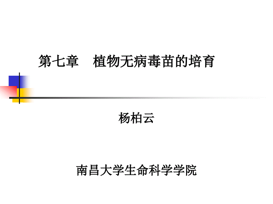 《植物的脱毒技术》PPT课件.ppt_第1页