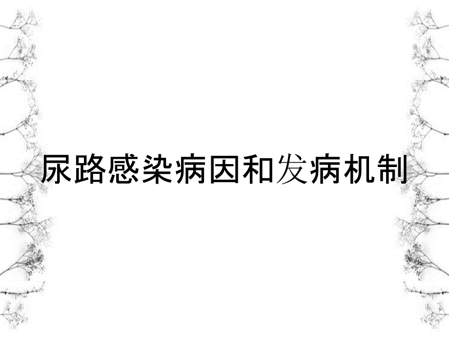 尿路感染病因和发病机制_第1页