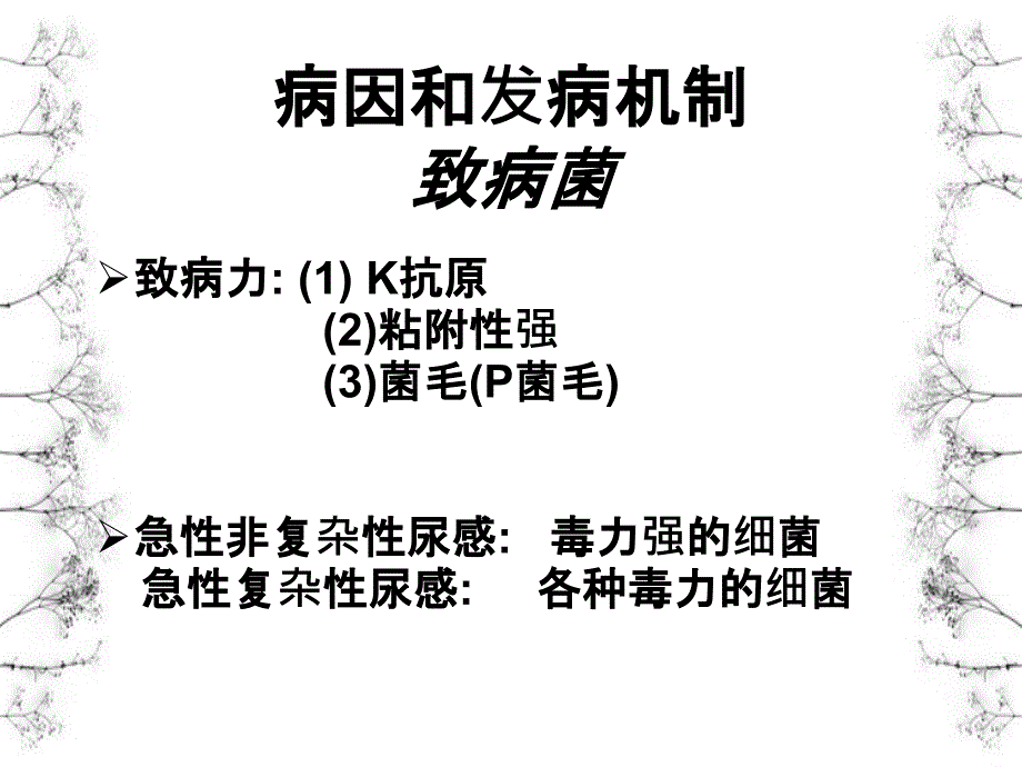 尿路感染病因和发病机制_第4页