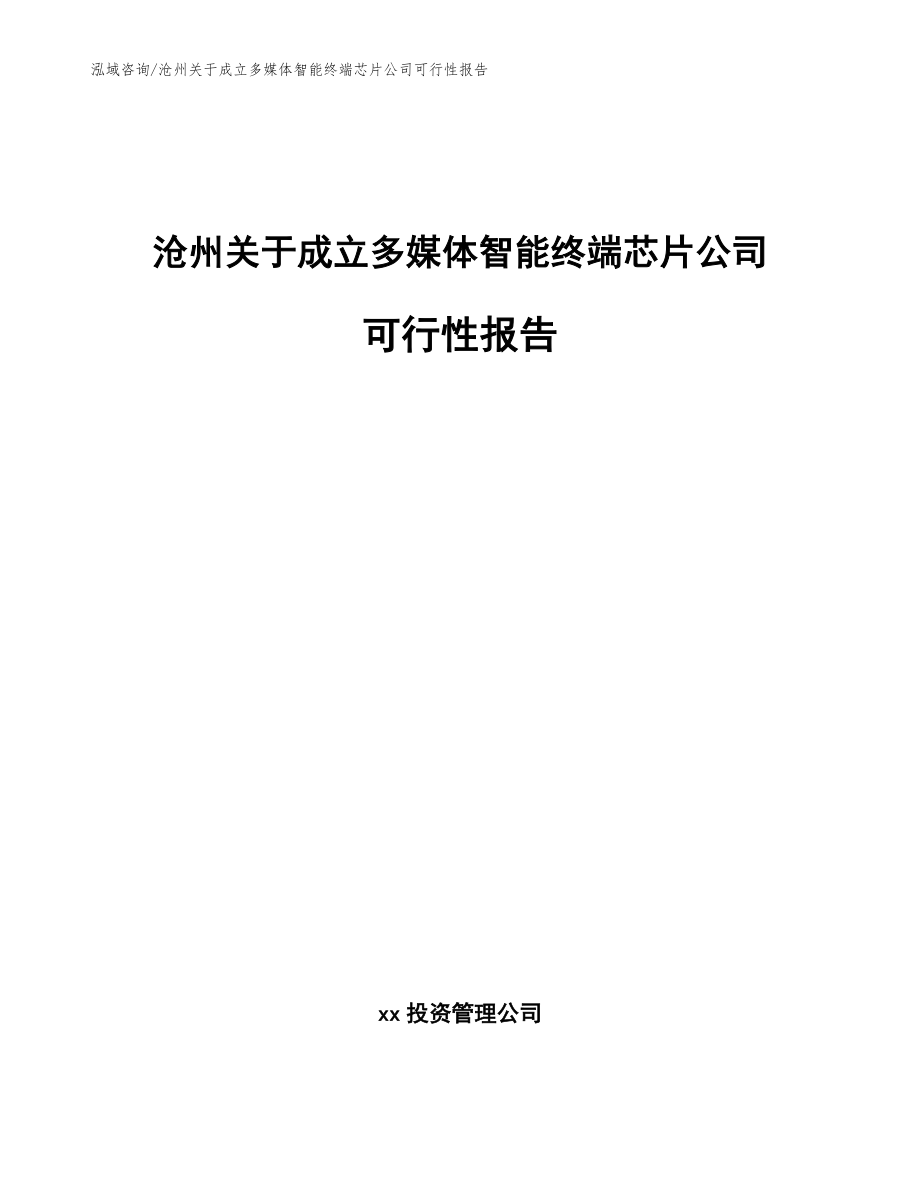 沧州关于成立多媒体智能终端芯片公司可行性报告【范文模板】_第1页