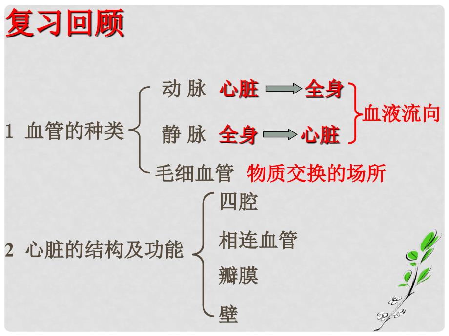 七年级生物下册 复习物质运输的途径课件 济南版_第2页