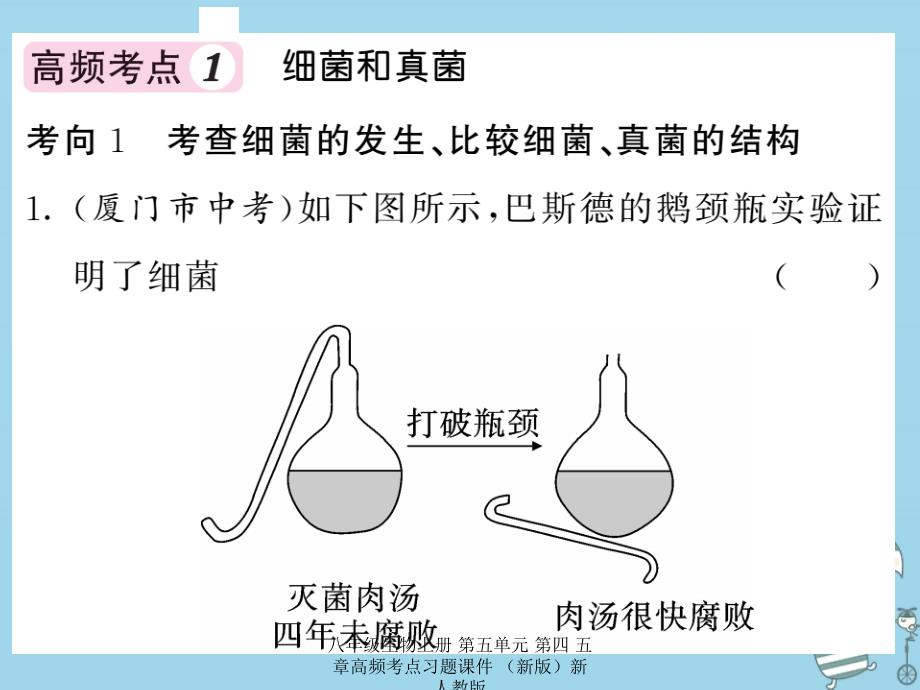 最新八年级生物上册第五单元第四五章高频考点习题_第2页