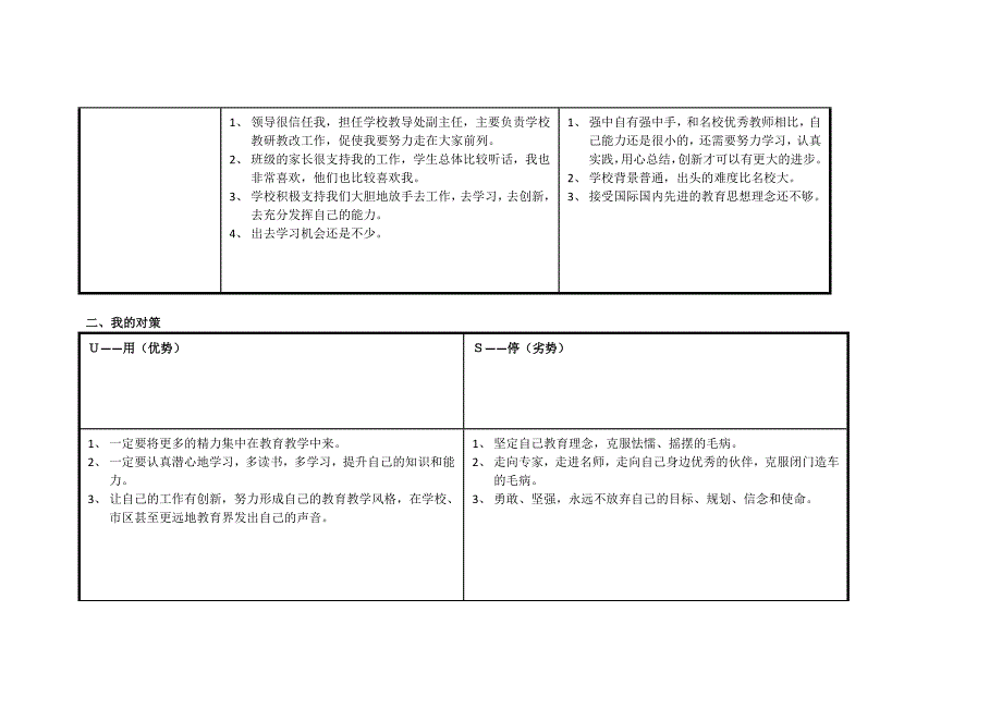 四川南充顺庆杨婧SWOT分析表.doc_第2页