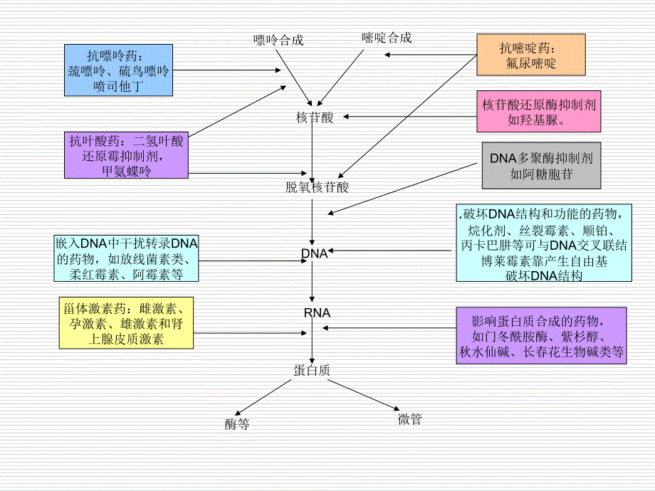 肿瘤科常用药物ppt课件_第4页