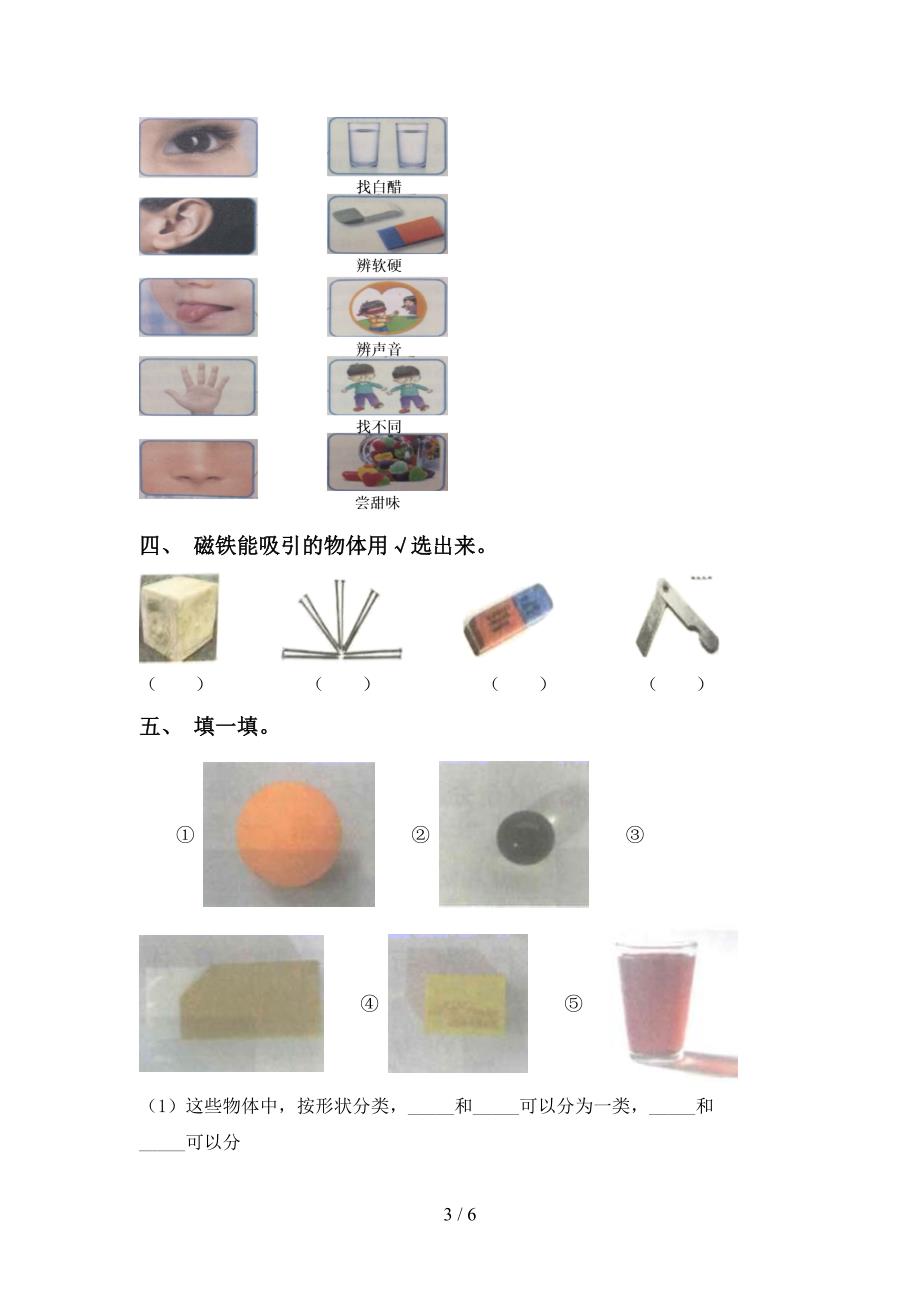 新教科版一年级科学下册期中考试题及答案【下载】.doc_第3页