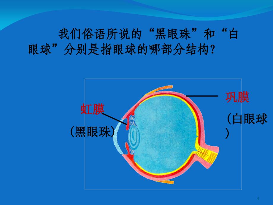 合理用脑高效学习PPT精品文档_第4页