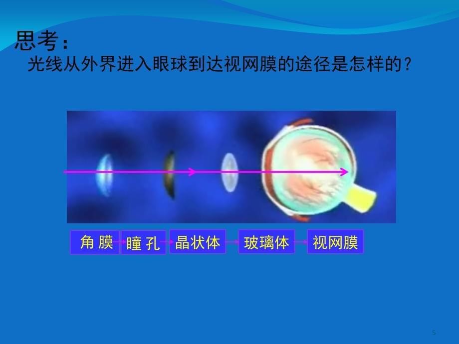 合理用脑高效学习PPT精品文档_第5页